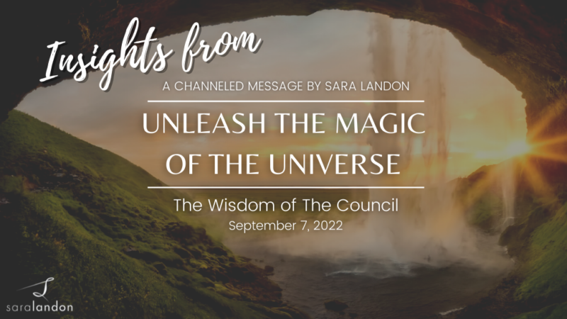 7 September 2022 Insights Blog